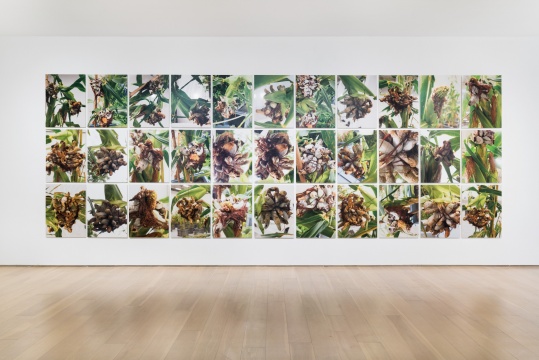 《涂抹 3》80×60cm×33 彩色喷墨打印 2017
《涂抹 3》80×60cm×33 彩色喷墨打印 2017