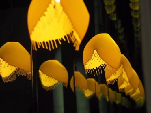 展览现场
展览现场