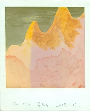 8.8cm×10.7cm NO.133 40x40 CM 宝丽来综合材料 2015
8.8cm×10.7cm NO.133 40x40 CM 宝丽来综合材料 2015