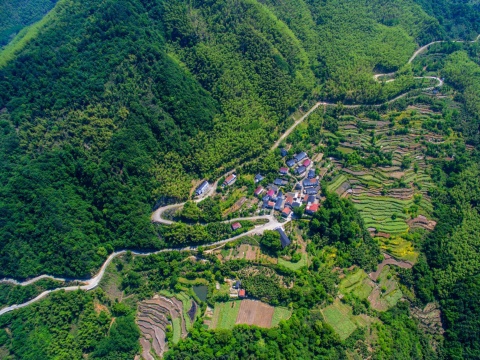 桐庐山乡鸟瞰
桐庐山乡鸟瞰
