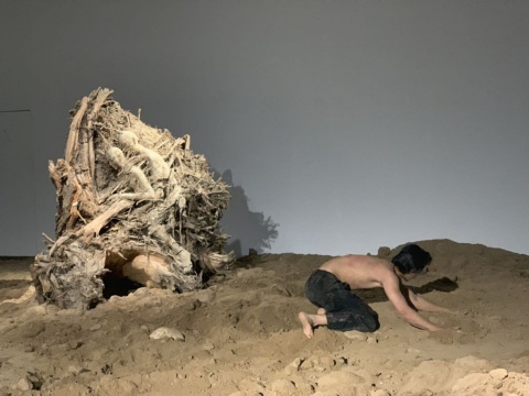 杨淞 “木艮土” 雕塑、泥土、树根、行为表演
杨淞 “木艮土” 雕塑、泥土、树根、行为表演