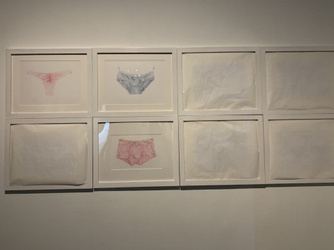 阿齐塔·莫拉德卡尼 “胜利的秘密系列”
阿齐塔·莫拉德卡尼 “胜利的秘密系列”