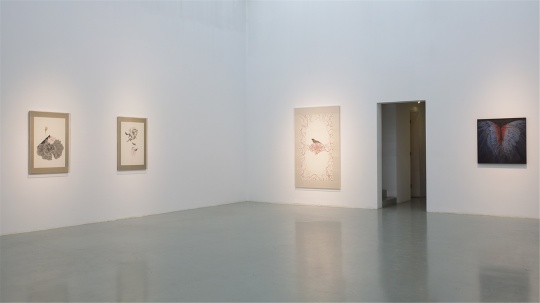 艾米李画廊高茜、康春慧双个展,一首清凉的夏日之歌 艾米李画廊高茜、康春慧双个展,一首清凉的夏日之歌