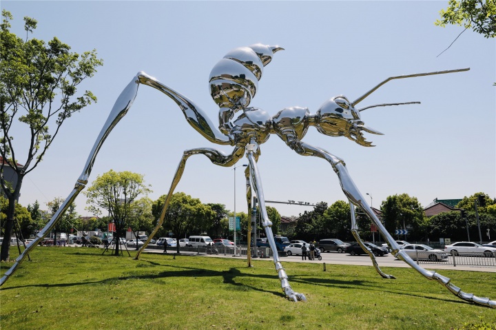 一群从漳州迁徙来的蚂蚁，占领了上海这个美术馆