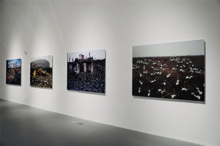 “陈志光:魔都蚁行志”,上海宝龙美术馆展览现场
“陈志光:魔都蚁行志”,上海宝龙美术馆展览现场
