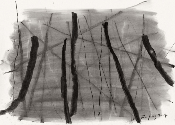 《彳亍》79×109cm 素描 2014
《彳亍》79×109cm 素描 2014