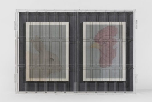 王晴园《伴侣》40×56cm 绢本绘画装置 2019

