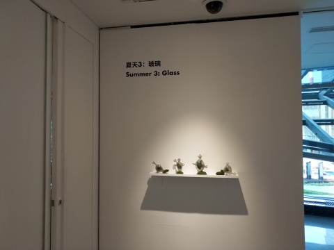 玻璃艺术家杜蒙的作品将玻璃与自然物进行结合
玻璃艺术家杜蒙的作品将玻璃与自然物进行结合