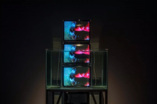 杨振中 “鱼缸” 多路视频  三台电视机、一台录像机、一只玻璃水缸，2.5x2.5cm方钢  1996
