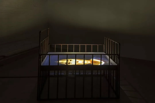 王功新 “婴语” 影像录像装置 铁床,牛奶,录像带,投影仪 1996
王功新 “婴语” 影像录像装置 铁床,牛奶,录像带,投影仪 1996