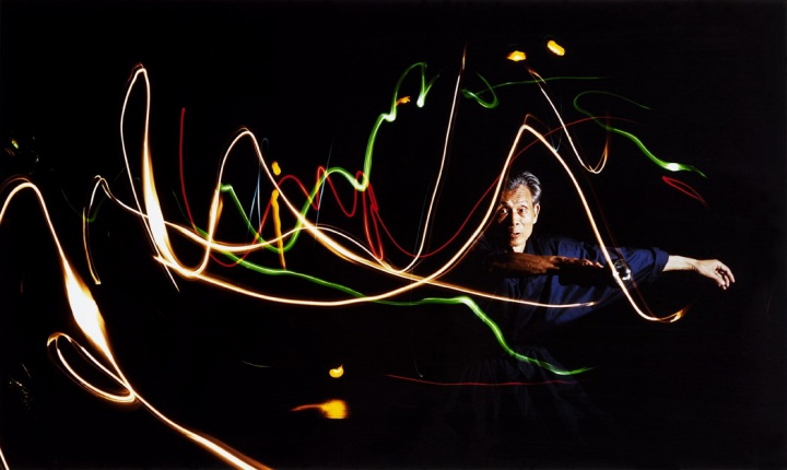 蔡斯民1994年拍摄吴冠中《点与线》
