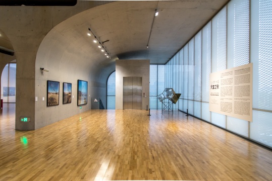 人来鸟不惊，法国艺术家让-吕克·米蓝鸟类摄影个展亮相龙美术馆