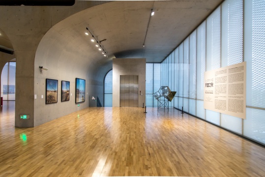人来鸟不惊，法国艺术家让-吕克·米蓝鸟类摄影个展亮相龙美术馆