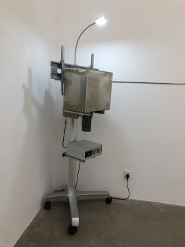 装置作品《霾》
装置作品《霾》