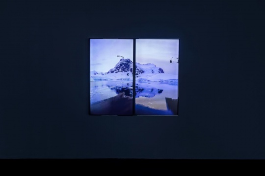 “白夜”2019
“白夜”2019