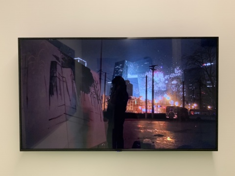 厉槟源 《一个人的春晚》 300×200cm 录像、布面油画 2017
厉槟源 《一个人的春晚》 300×200cm 录像、布面油画 2017