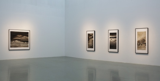 诗蓝在艾米李画廊首展 深层次的中西碰撞和地域迁徙 诗蓝在艾米李画廊首展 深层次的中西碰撞和地域迁徙