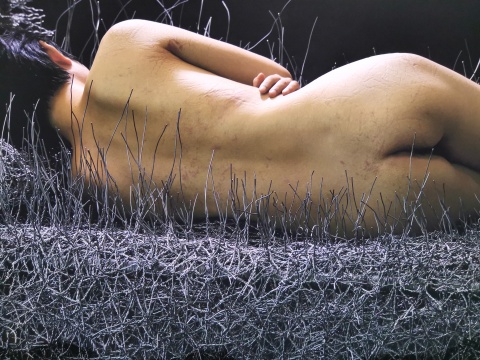 周洁 《36天》150×150×130cm 不锈钢丝(独版) 2014
周洁 《36天》150×150×130cm 不锈钢丝(独版) 2014