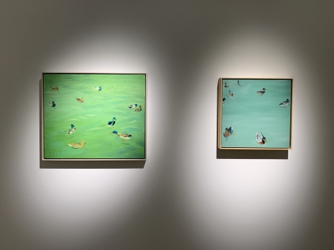 《鸭子》50×60cm 布面丙烯 2019、《鸳鸯》40×40cm 布面丙烯 2019
《鸭子》50×60cm 布面丙烯 2019、《鸳鸯》40×40cm 布面丙烯 2019