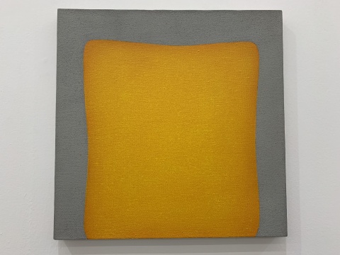 《0667》 50×50cm 布面丙烯 2006
《0667》 50×50cm 布面丙烯 2006