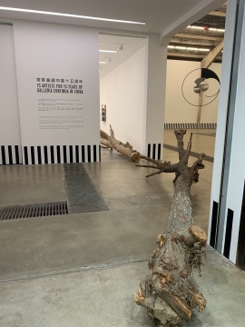 15位艺术家作品 镌刻常青画廊15年中国时光 15位艺术家作品 镌刻常青画廊15年中国时光