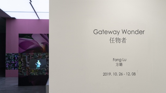 “任物者”方璐 呈现心与物之间的独特存在 “任物者”方璐 呈现心与物之间的独特存在