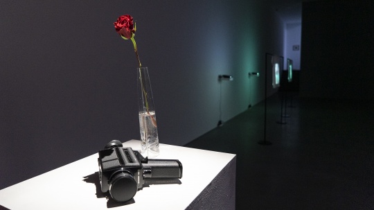 展览现场
展览现场