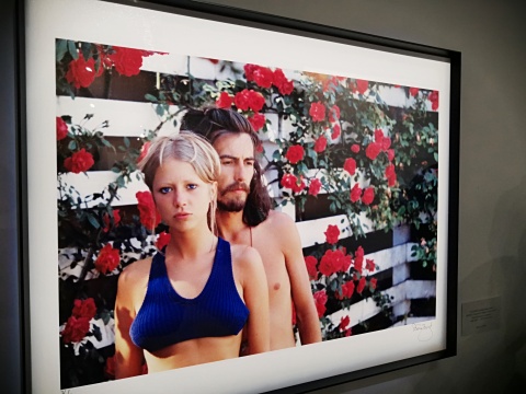 《Pattie&George‘s Rose Garden》 1968
《Pattie&George‘s Rose Garden》 1968