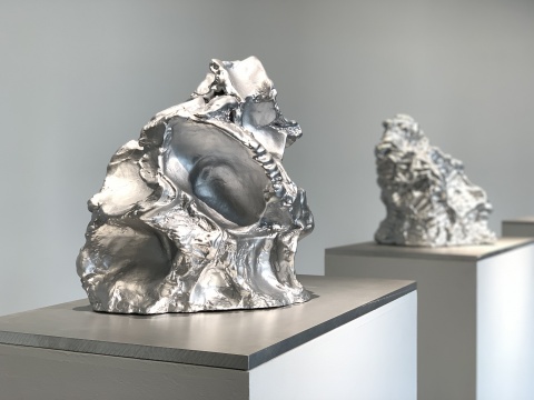 隋建国 《云中花园》 2009-2019
隋建国 《云中花园》 2009-2019