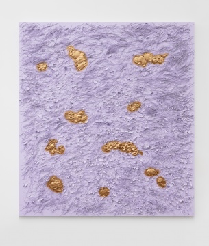 土壤之上( 淡紫),200 x 180 x 8 cm,木板, 植物, 丙烯颜料,2019
土壤之上( 淡紫),200 x 180 x 8 cm,木板, 植物, 丙烯颜料,2019