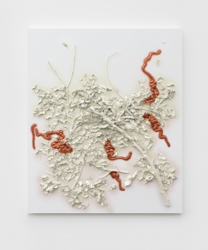 土壤之上( 彩虹铜No. 1 ),120 x 180 x 8 cm,木板, 植物, 丙烯颜料,2019
土壤之上( 彩虹铜No. 1 ),120 x 180 x 8 cm,木板, 植物, 丙烯颜料,2019