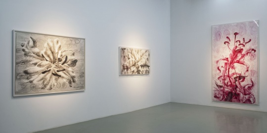 复刻威双作品以外 艾米李呈现最全媒介的陈琦个展