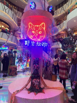武汉K11 Select两周年庆典现场,来了一只12米高的巨猫 武汉K11 Select两周年庆典现场,来了一只12米高的巨猫