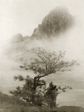 
郎静山 《雁荡鸣春》 28× 22cm 银盐纸基 印章 1941

RMB:35,000-50,000

