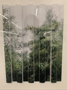 《奇数与偶数系列:竹林》 40×50cm×2 综合材料 2019
《奇数与偶数系列:竹林》 40×50cm×2 综合材料 2019