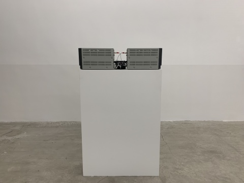 单行道画廊迁址后首展 刘国强“图形”的秩序与逻辑 单行道画廊迁址后首展 刘国强“图形”的秩序与逻辑