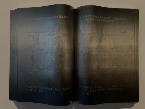 刘建华 《你能告诉我吗?》 39×27×4cm/本 不锈钢、投影循环播放 2005-2006
刘建华 《你能告诉我吗?》 39×27×4cm/本 不锈钢、投影循环播放 2005-2006