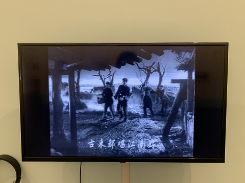 郑君里导演 《枯木逢春》 1961年电影
