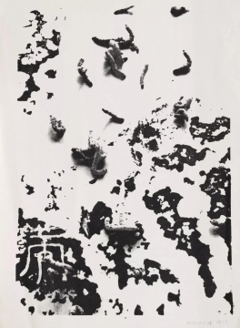 梁绍基《自然系列 No.8 》81 x 59 cm 丝网版  1993

