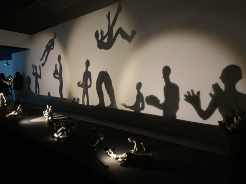 柔情与暴力并存的“轻重之间” 耿雪作品展亮相筑中美术馆 柔情与暴力并存的“轻重之间” 耿雪作品展亮相筑中美术馆