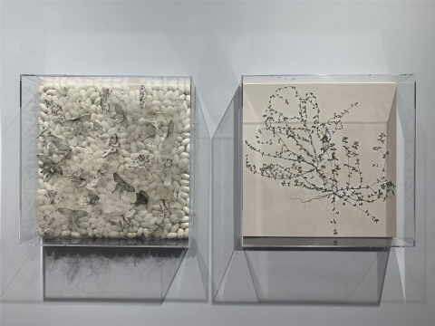作为传统的非传统杂草,在美博文化“蔓延” 作为传统的非传统杂草,在美博文化“蔓延”