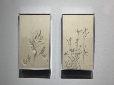 作为传统的非传统杂草,在美博文化“蔓延” 作为传统的非传统杂草,在美博文化“蔓延”
