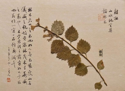 作为传统的非传统杂草,在美博文化“蔓延” 作为传统的非传统杂草,在美博文化“蔓延”
