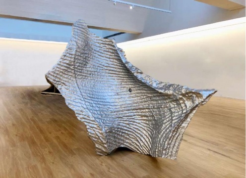 隋建国《云中花园》系列,光敏树脂3D打印,2014-2019
隋建国《云中花园》系列,光敏树脂3D打印,2014-2019