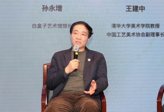 王建中教授发言
王建中教授发言