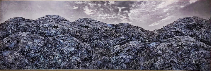 文祺 《见山还是山》120x360cm 布面影像 2019
