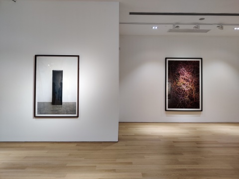东方的竹子遇上西方的迷幻剂文化 封岩个展亮相唐人香港 东方的竹子遇上西方的迷幻剂文化 封岩个展亮相唐人香港