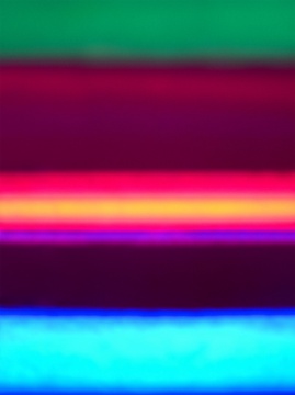 《迷幻的竹子-20》, 收藏级艺术喷绘, 120x90cm, 2011
《迷幻的竹子-20》, 收藏级艺术喷绘, 120x90cm, 2011