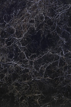 《唐陵深草11》, 收藏级艺术喷绘, 201x134cm, 2018
《唐陵深草11》, 收藏级艺术喷绘, 201x134cm, 2018