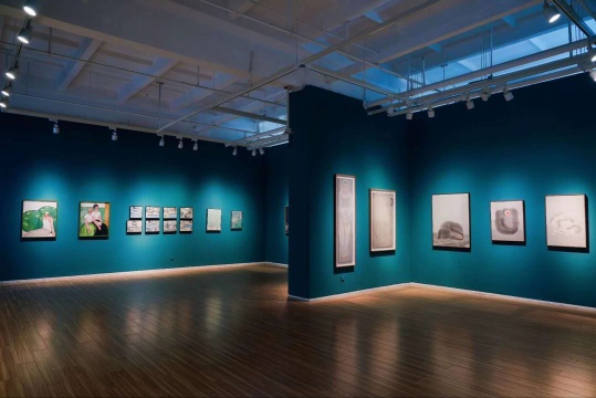 Hi艺术中心“水墨惊蛰——1985后出生的年轻一代水墨画家”展览现场
Hi艺术中心“水墨惊蛰——1985后出生的年轻一代水墨画家”展览现场